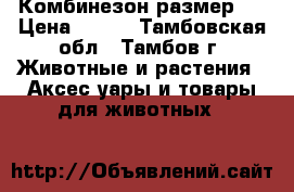 Комбинезон размер L › Цена ­ 650 - Тамбовская обл., Тамбов г. Животные и растения » Аксесcуары и товары для животных   